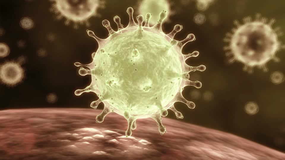 Read more about the article UNDENIABLE TRUTH: Coronavirus Will Affect Less People Than Cancer
